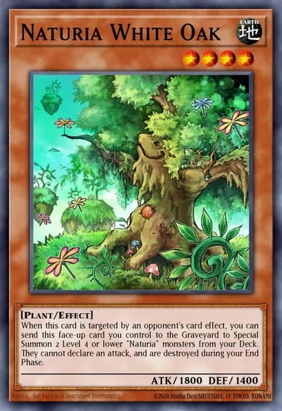 Naturia White Oak — Carta Yu-Gi-Oh!