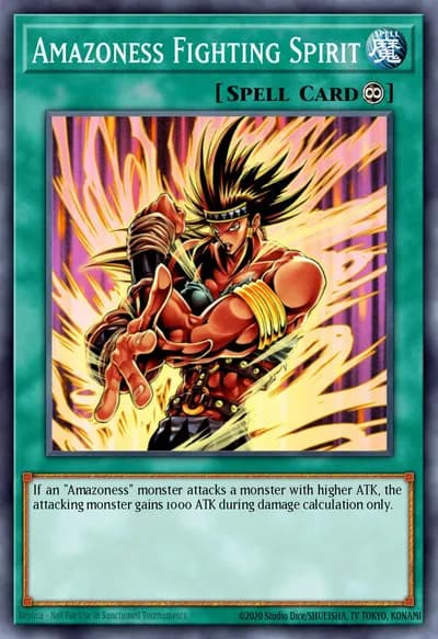 Amazoness Fighting Spirit — Carta Yu-Gi-Oh!