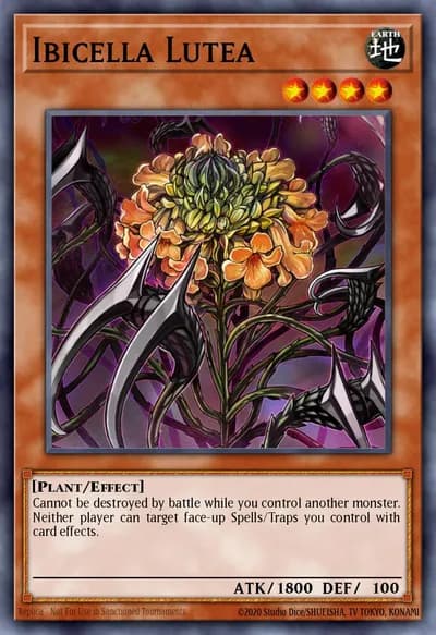 Ibicella Lutea — Carta Yu-Gi-Oh!