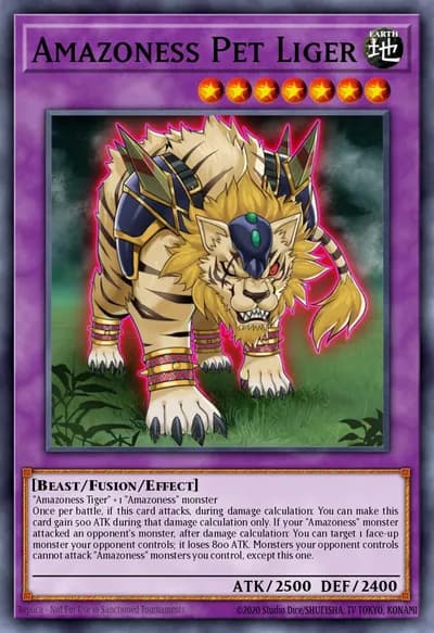 Amazoness Pet Liger — Carta Yu-Gi-Oh!