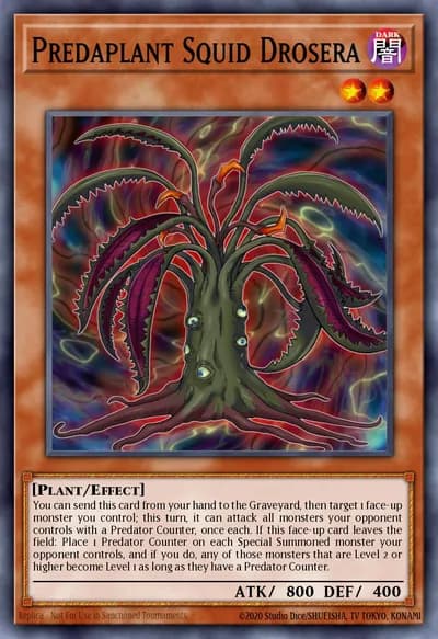 Predaplant Squid Drosera — Carta Yu-Gi-Oh!