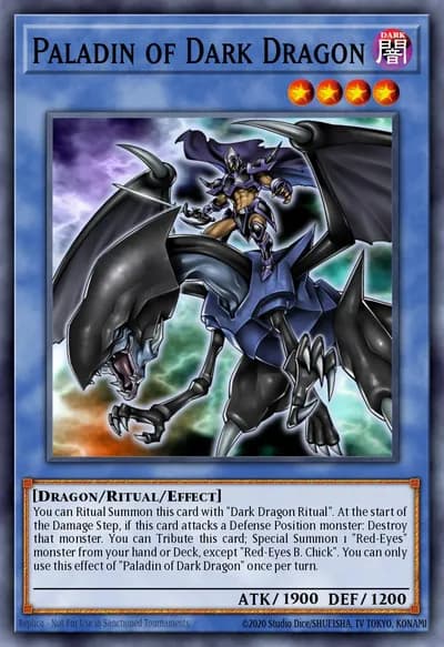 Paladino do Dragão Negro — Carta Yu-Gi-Oh!