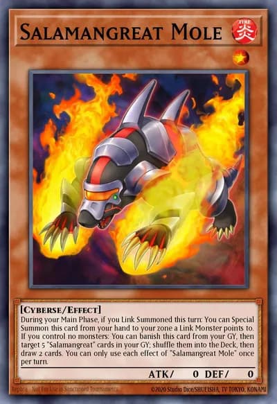 Salamangreat Mole — Carta Yu-Gi-Oh!