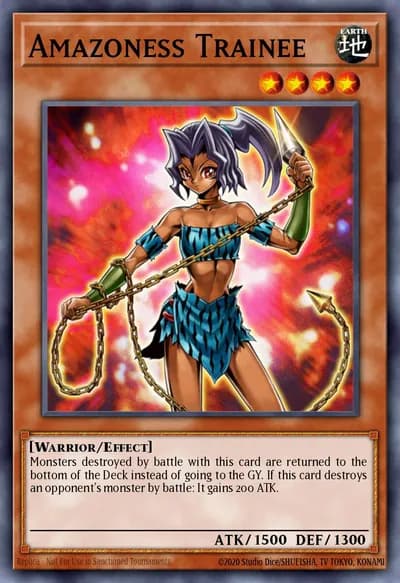 Aprendiz Amazoness — Carta Yu-Gi-Oh!
