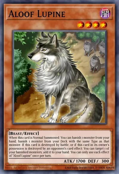 Lobo Solitário — Carta Yu-Gi-Oh!