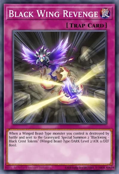 Vingança da Asa Negra — Carta Yu-Gi-Oh!