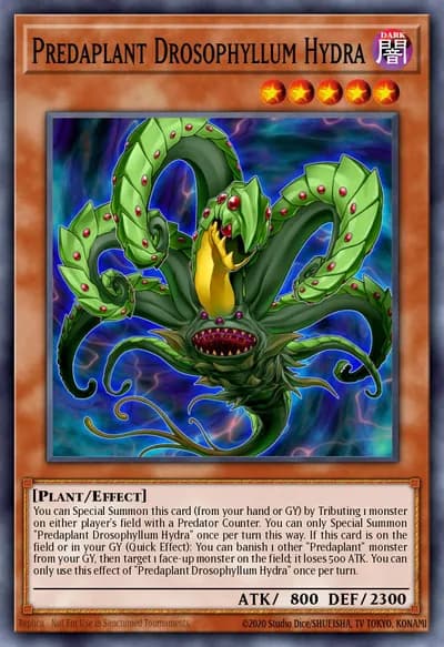 Predaplant Drosophyllum Hydra — Carta Yu-Gi-Oh!